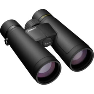 Nikonn M5
